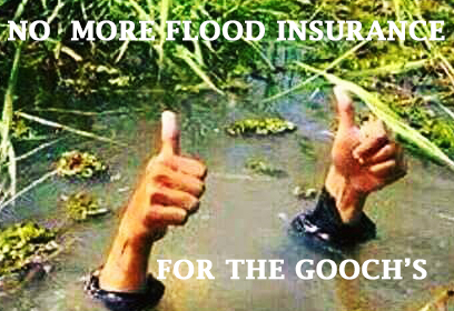 No more Flood Insurance for the Gooches