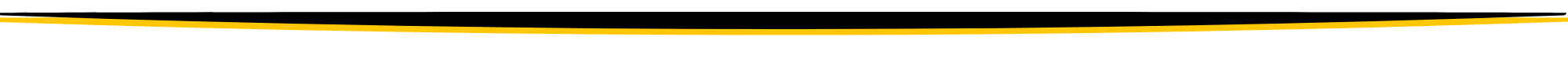 graphic design double line accent